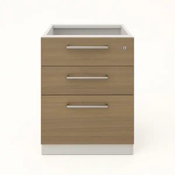 cajonera oficina pedestal 2 cajones 1 kardex 02