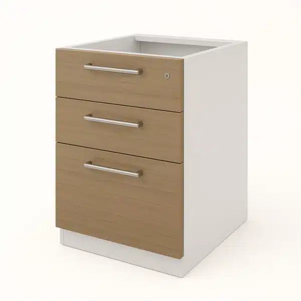 cajonera oficina pedestal 2 cajones 1 kardex 03