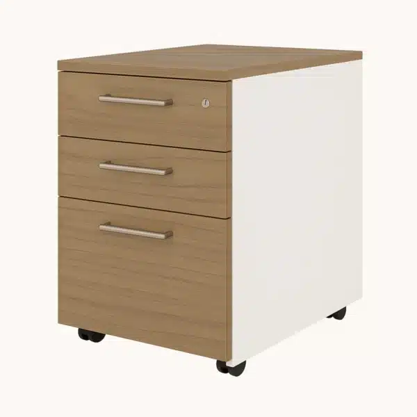 cajoneras con ruedas para escritorio 2 cajon 1 kardex 02