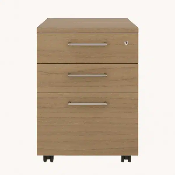 cajoneras con ruedas para escritorio 2 cajon 1 kardex 03